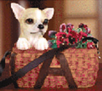 Wholesale pet items