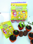 wholesale plants