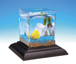 wholesale aquariums