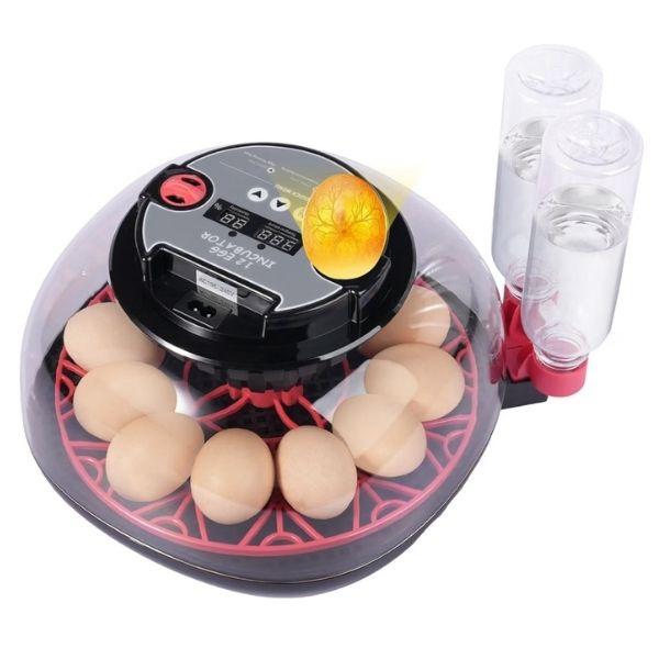 Egg Incubator - #Humorrap.12 - 12 Egg Incubator - Full Kit - Multi Setting - 2 For $40.00 image