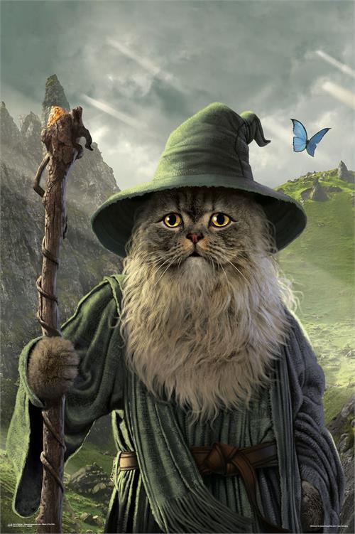 Catdalf Poster - 24" x 36" image