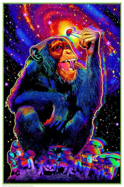 Monkey Mushroom - Non-Flocked Blacklight Poster 24" x 36" image