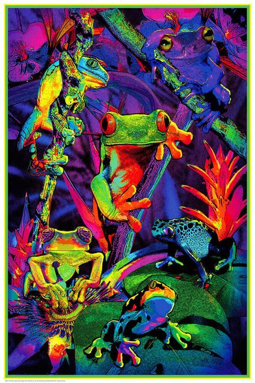 Tree Frogs - Non-Flocked Blacklight Poster 24" x 36" image