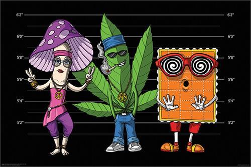 Psychedelic Mugshot Poster 36" x 24"