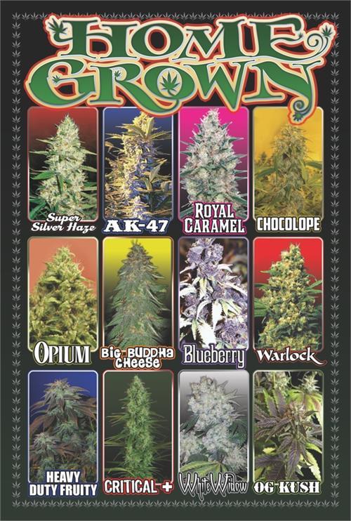 Home Grown Poster - 24" x 36" image