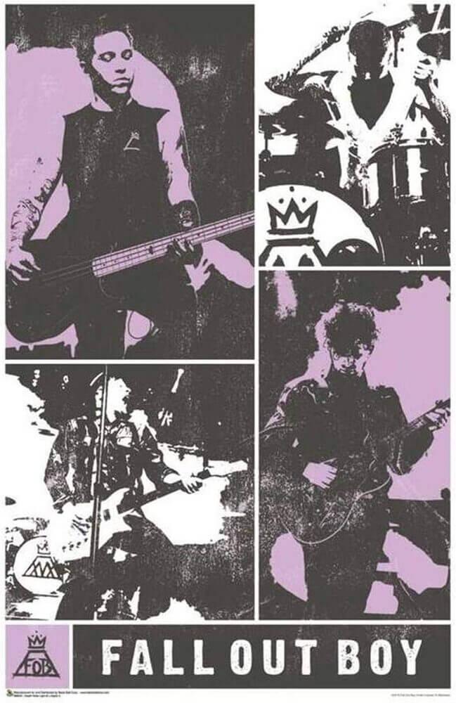 Fall Out Boy Panel Poster - 24" x 36"