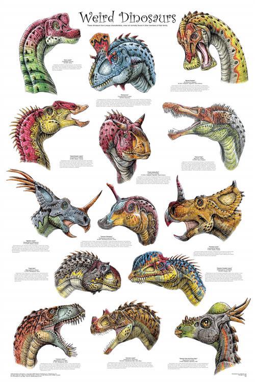 Weird Dinosaurs Educational Poster 24x36 image
