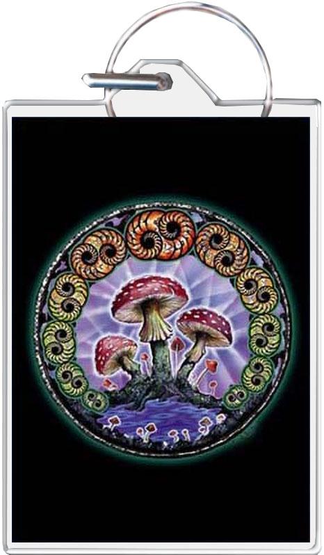 Mushroom 2000 - Mike Dubois Keychain - 1.5" x 2"