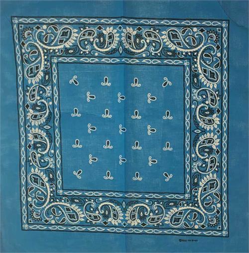 Turquoise Bandana 21" x 21" - Cotton image