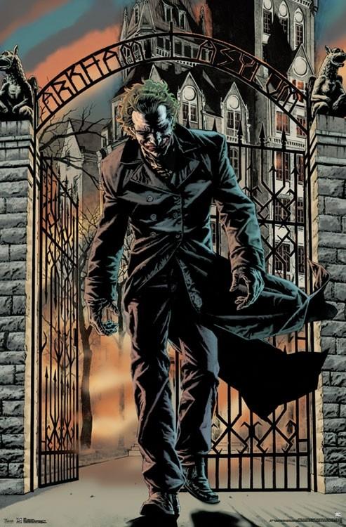 Joker - Arkham Asylum Poster - 22.375" x 34" image