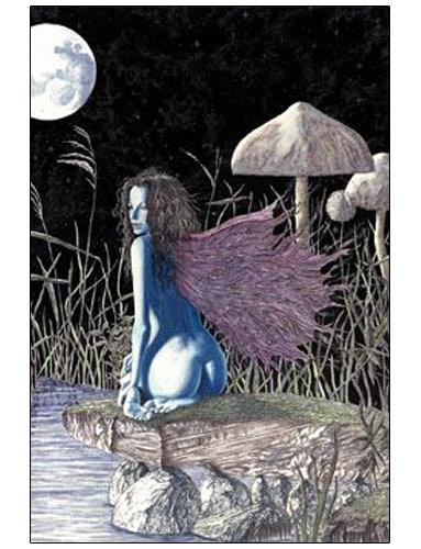 Moon Shadows Fairy by Ulysses - Poster - 24" x 36" image