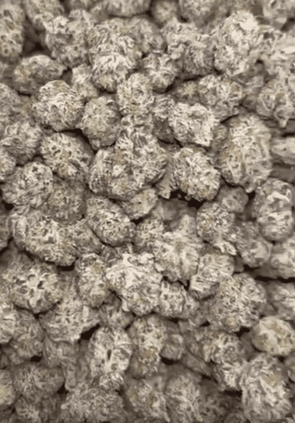 Black Ice Smalls Exotic THCA Flower