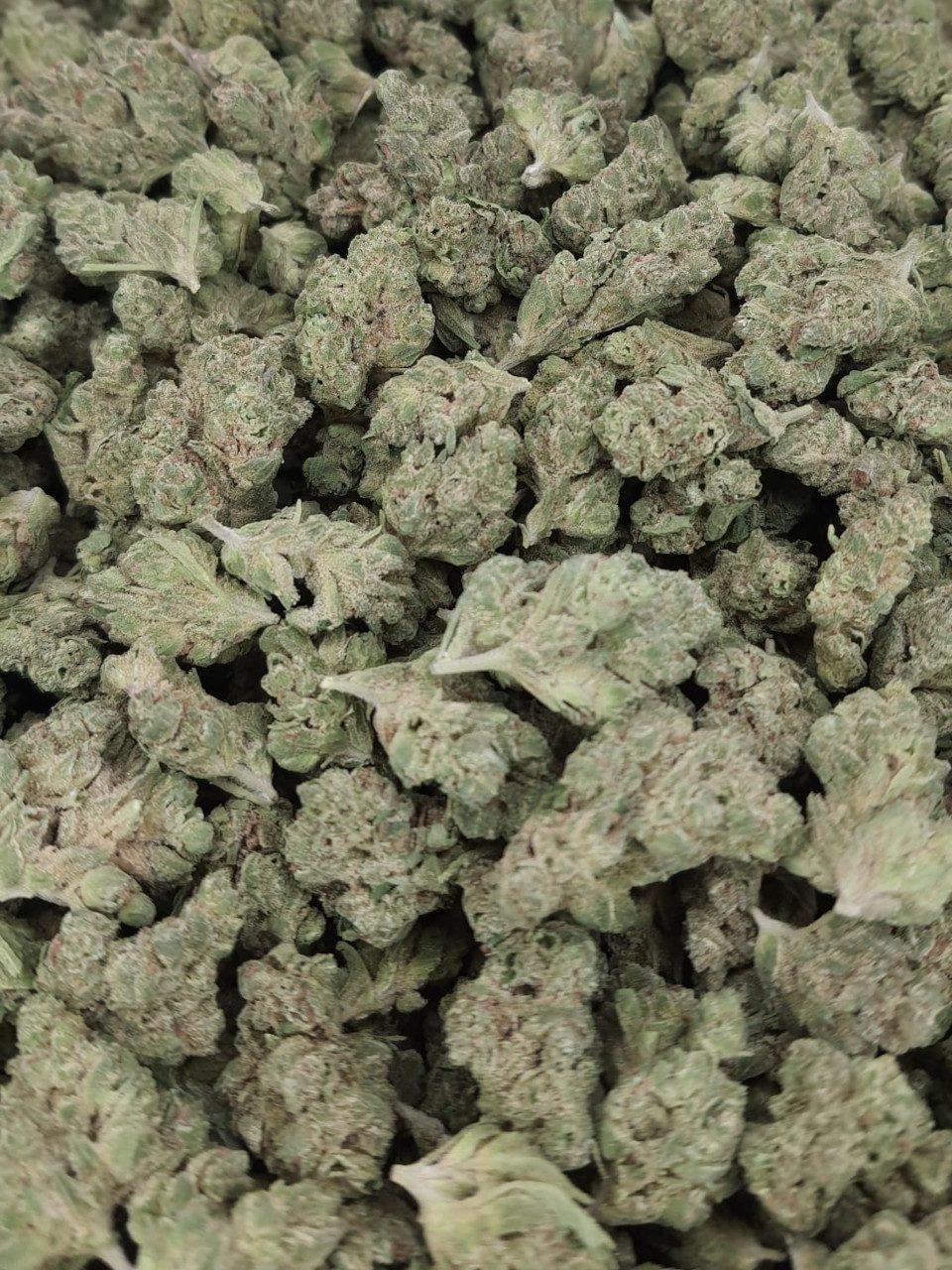 Cola Smalls Light Assist THCA Flower