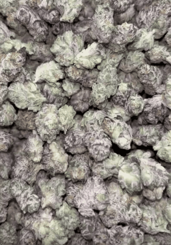 Gas Face Smalls Exotic THCA Flower image