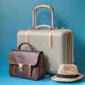 Handbags & Luggage