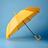 Rainwear, UmbrellasImage
