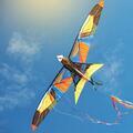 Kites, Flying Toys