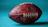 Sports MemorabiliaImage