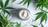 Creams, Lotions & TopicalsImage