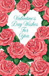 24 six packs of Valentines Greeting Cards