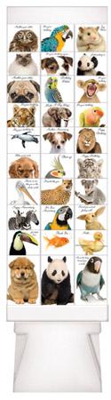 30 Pocket filled with animal photo cards image