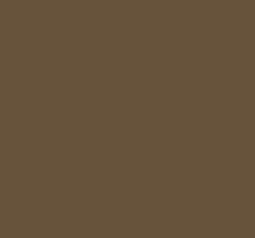 TISSUE REAM - BROWN - 480 SHEETS/REAM image