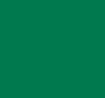 TISSUE REAM - FESTIVE GREEN - 480 SHEETS/REAM image