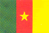 3X5 CAMAROON FLAG image