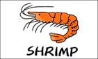 SHRIMP WHITE FLAG image