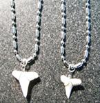 STAINLESS STEEL NECKLACE W REAL SHARK TOOTH PENDANT image