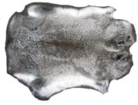 NATURAL LIGHT GREY COLOR RABBIT SKIN image