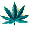 POT LEAF PATCH image