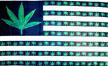 GREEN POT LEAVES MARIJUANA AMERIACAN USA 3 X 5 FLAGS image
