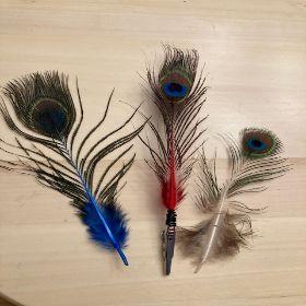 Peacock Feather clip image