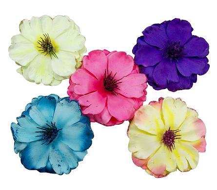 Fashion Hair Clip image