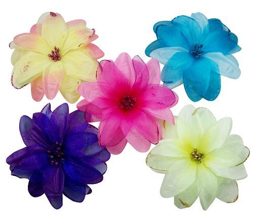 Fashion Hair Clips image