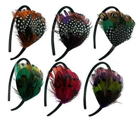 Feather Head Band image