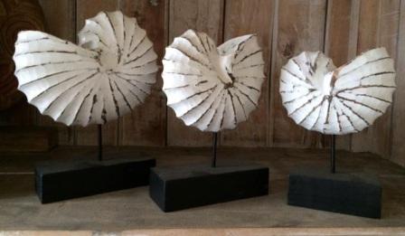 3 PCS Wooden Shell Decoration image