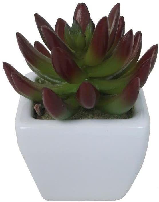 Artificial Succulent in Ceramic Vase image