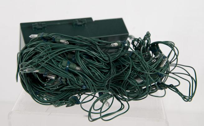 LED Clear Net Lights 50 Ct. Battery Operated image