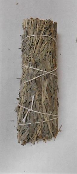 4" Blue Sage image