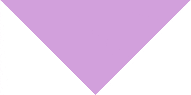 Pet Triangle Solid Bandana, 18X 25X 18, 600Pcs, Lilac