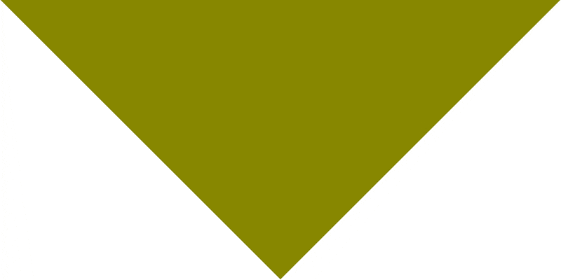 Pet Triangle Solid Bandana, 27X 38X 27, 600Pcs, Olive Green