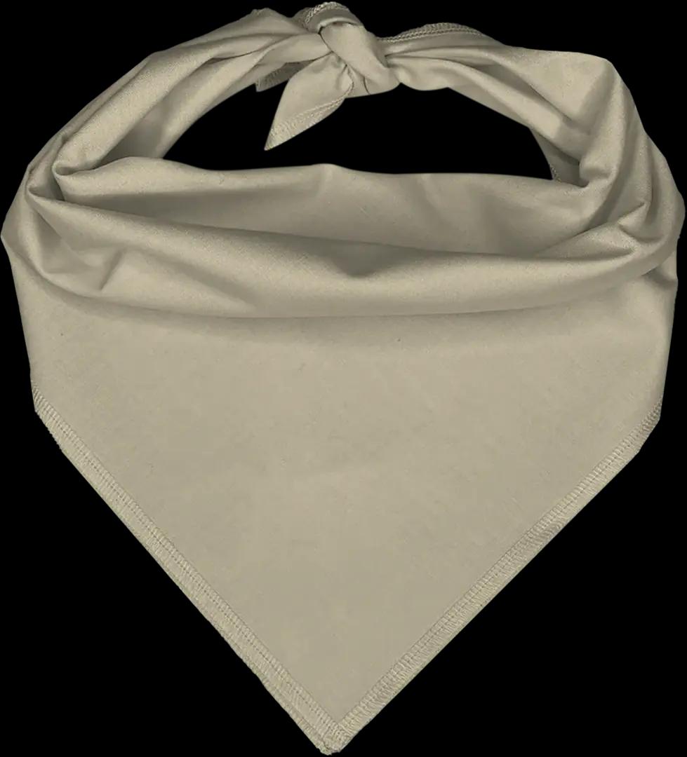 Pet Triangle Solid Bandana, 27X 38X 27, 600Pcs, Natural