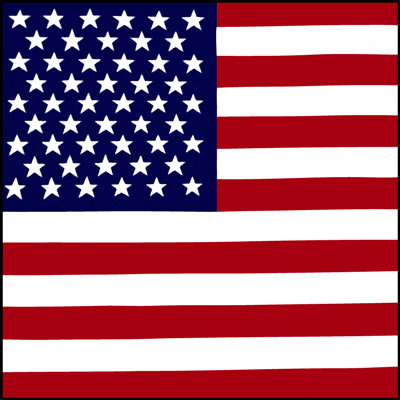 US Flag Bandana - 27 Inch x 27 Inch Inch, 1 piece image