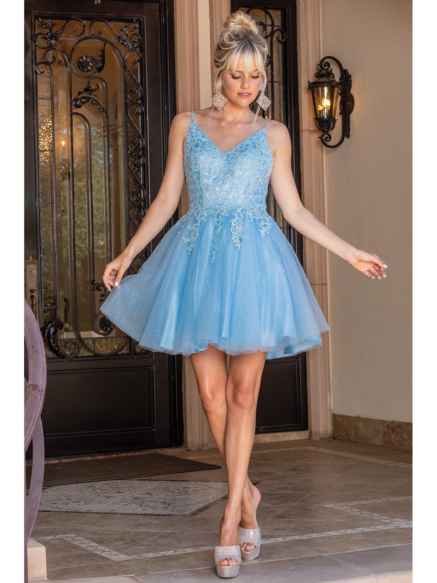 Lace Embellished Bodice Homecoming Dress with Sheer Back and Tulle Skirt Homecoming Dress - Style 3303 image