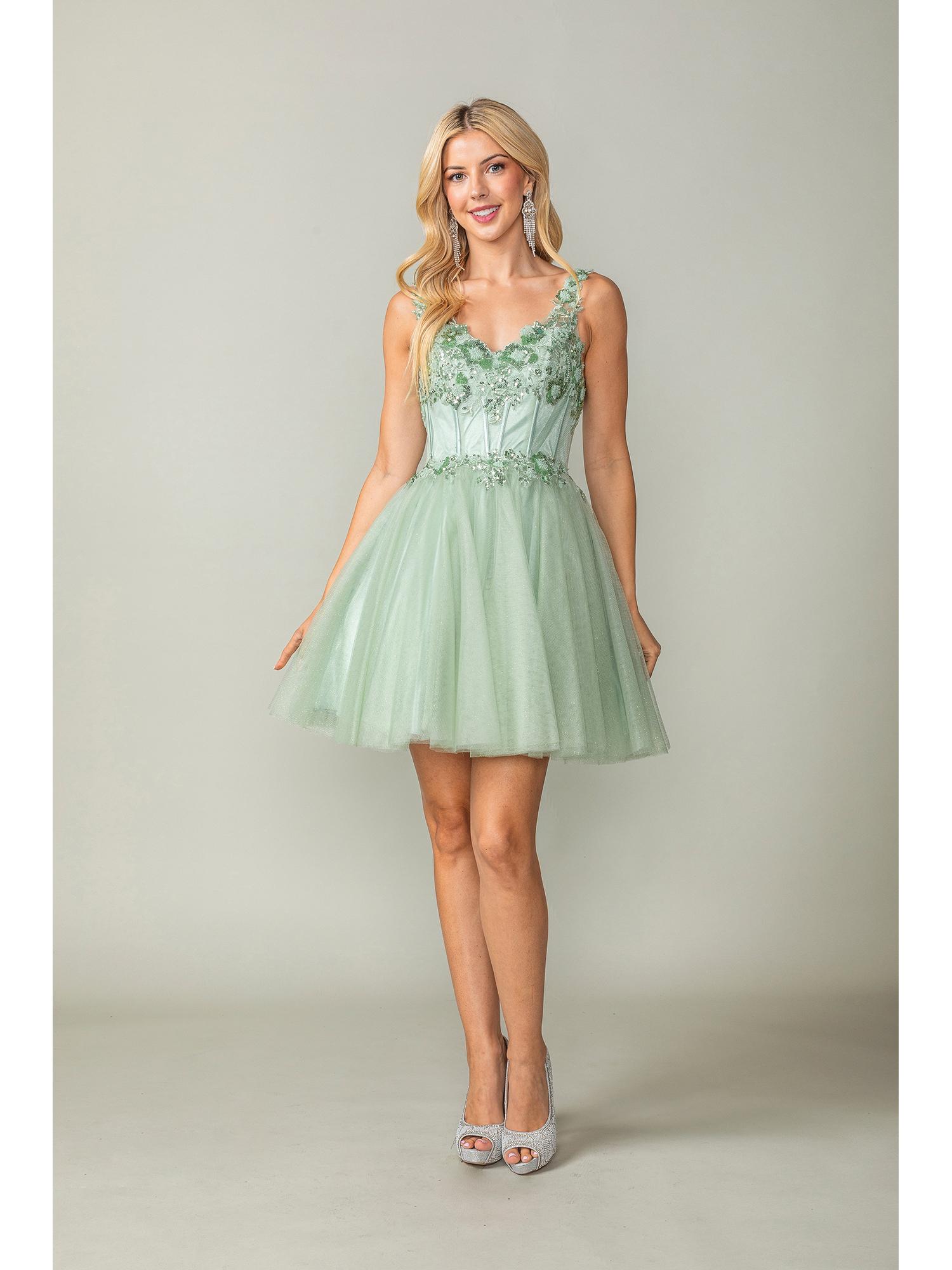 Embroidered Bodice Short Tulle Dress with V-Neck and Sheer Back Homecoming Dress - Style 3374 image