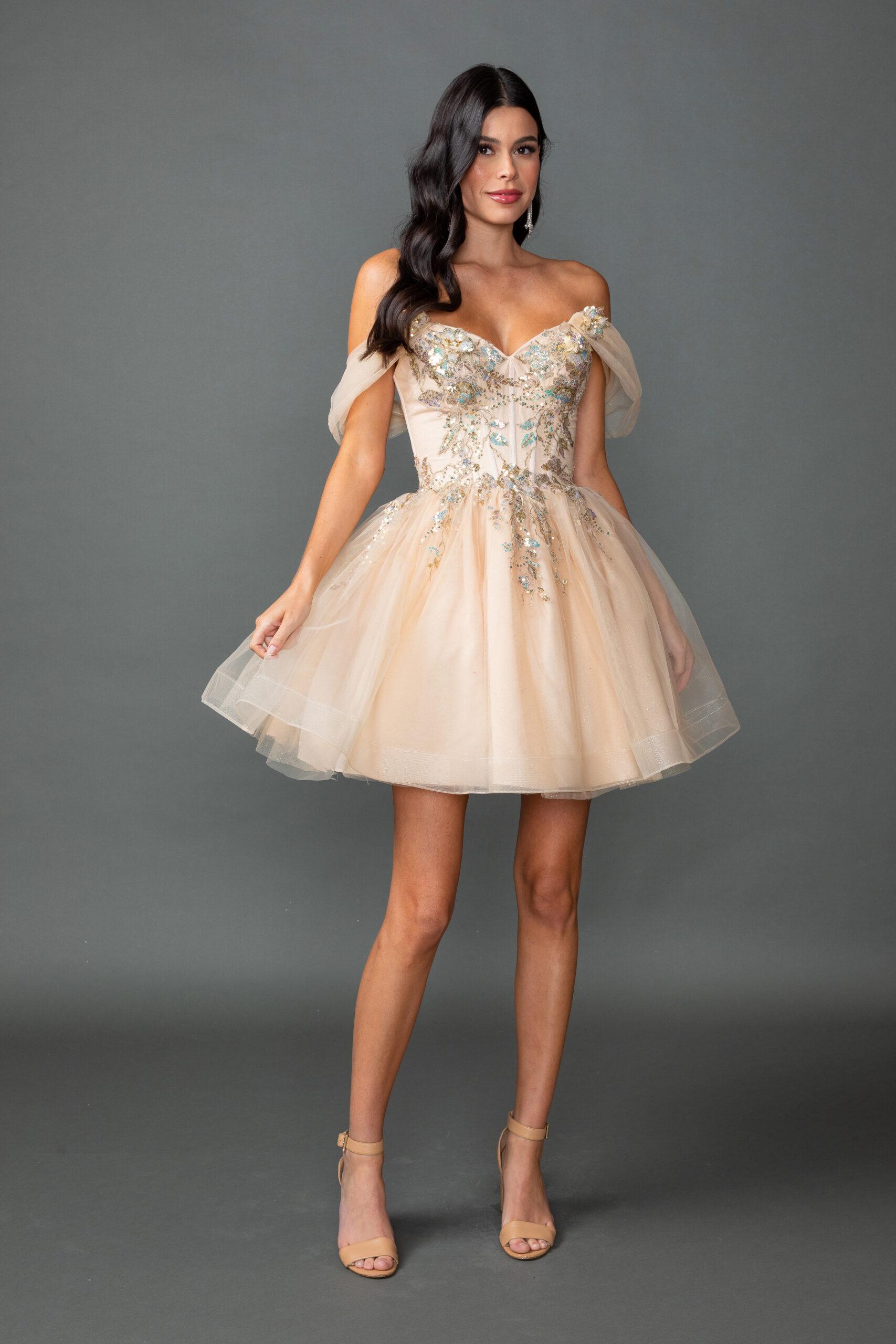 Off-the-Shoulder Tulle Homecoming Dress with Embroidered Corset Bodice and A-Line Skirt - Style 3423