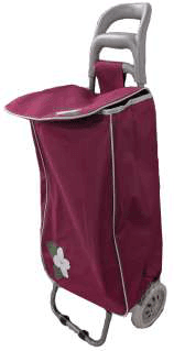 Shopping Trolley – B18