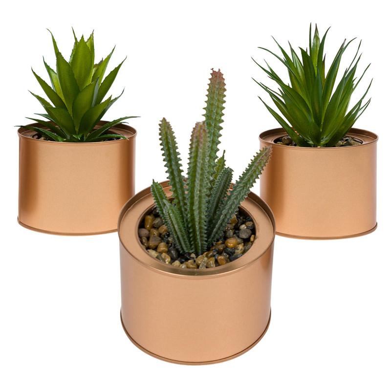 Succulent and Cactus Artificial Plant- 6"- 3 Assortments image